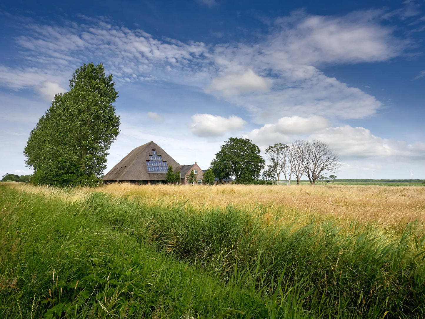 Weekend Retreat "Leef je nieuwe droom"